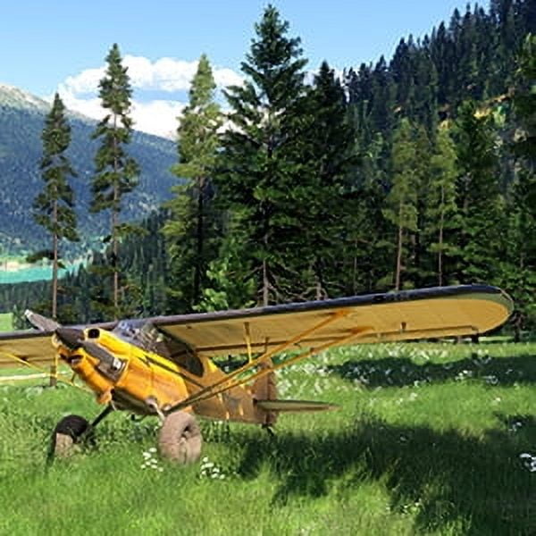 Microsoft Flight Simulator 2024 – Premium Deluxe SteelBook Edition – Xbox Series X|S and Windows Digital Code image 8