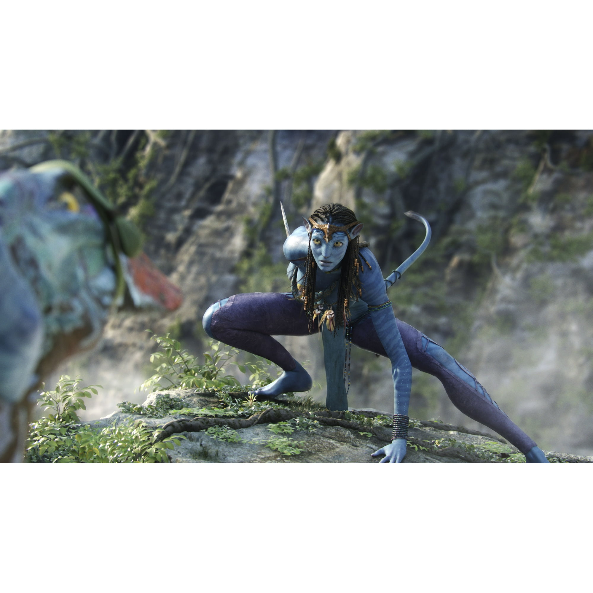 Avatar (4K Ultra HD + Blu-Ray + Digital Copy) 20th Century Studios image 3