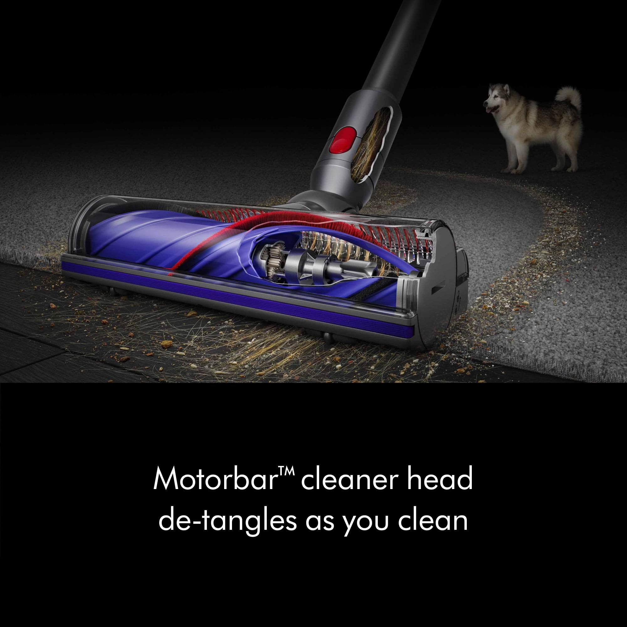 Dyson V11 Extra Cordless Vacuum Cleaner | Iron | image 3