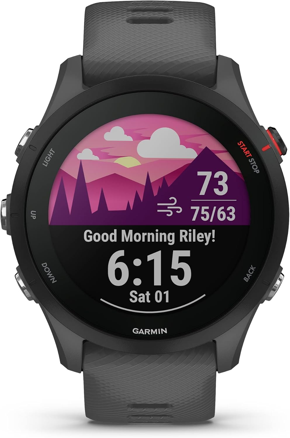 Garmin Forerunner® 255, GPS Running Smartwatch, Advanced Insights, Long-Lasting Battery, Slate Gray image 2