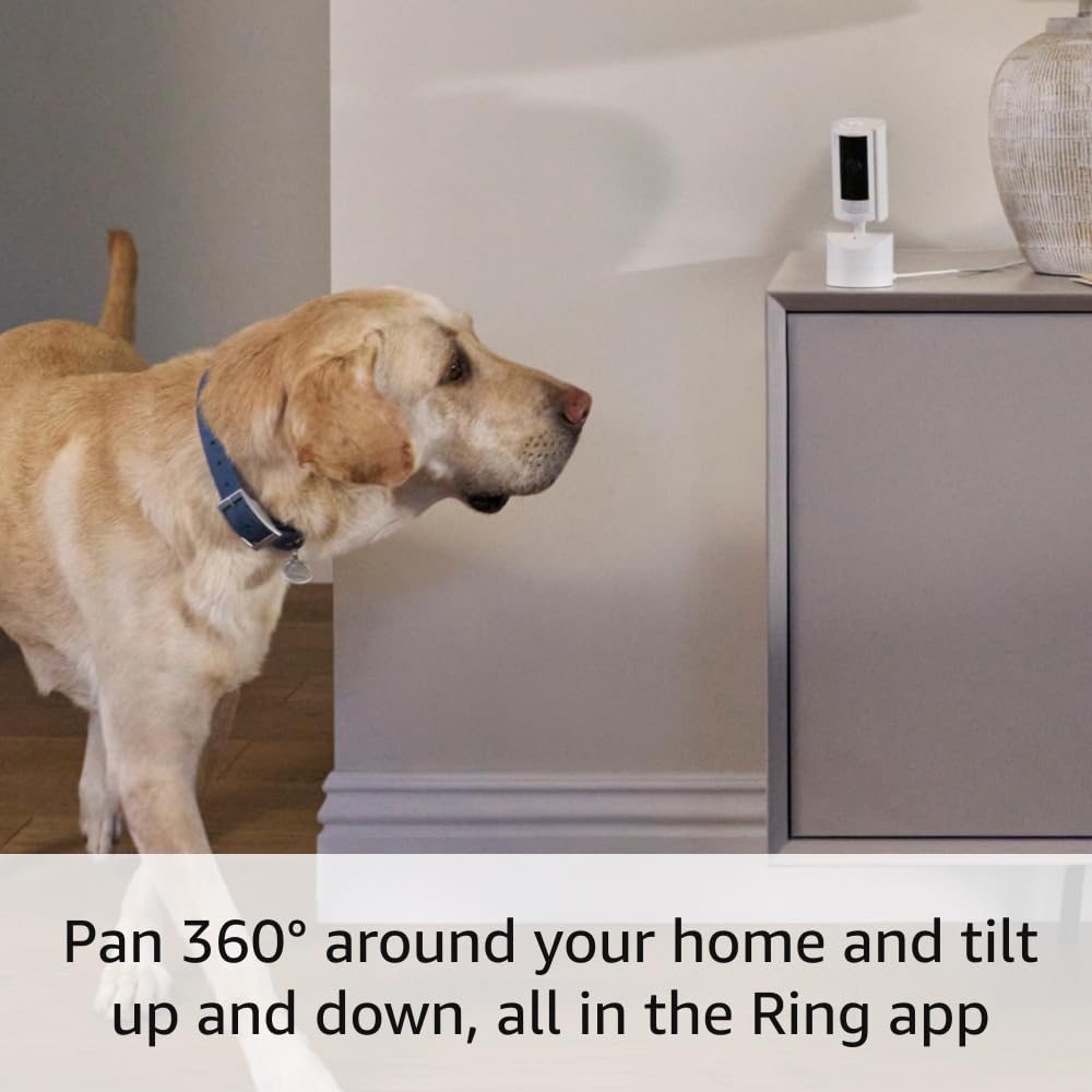 Ring Pan-Tilt Indoor Cam | See all around with 360° pan coverage, HD video, plus Two-Way Talk (2024 release) | White image 3
