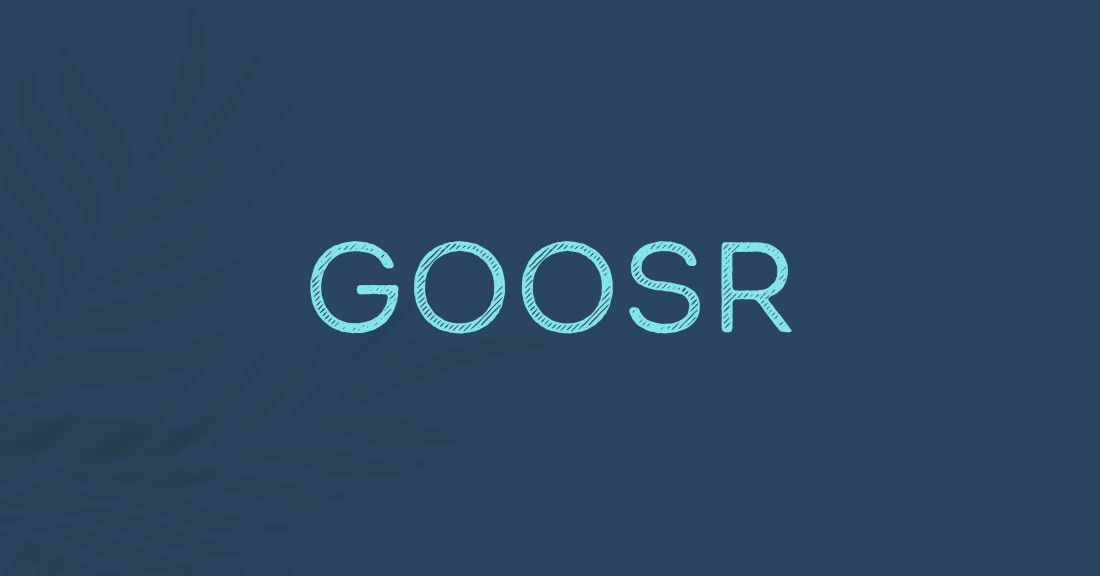 goosr.com