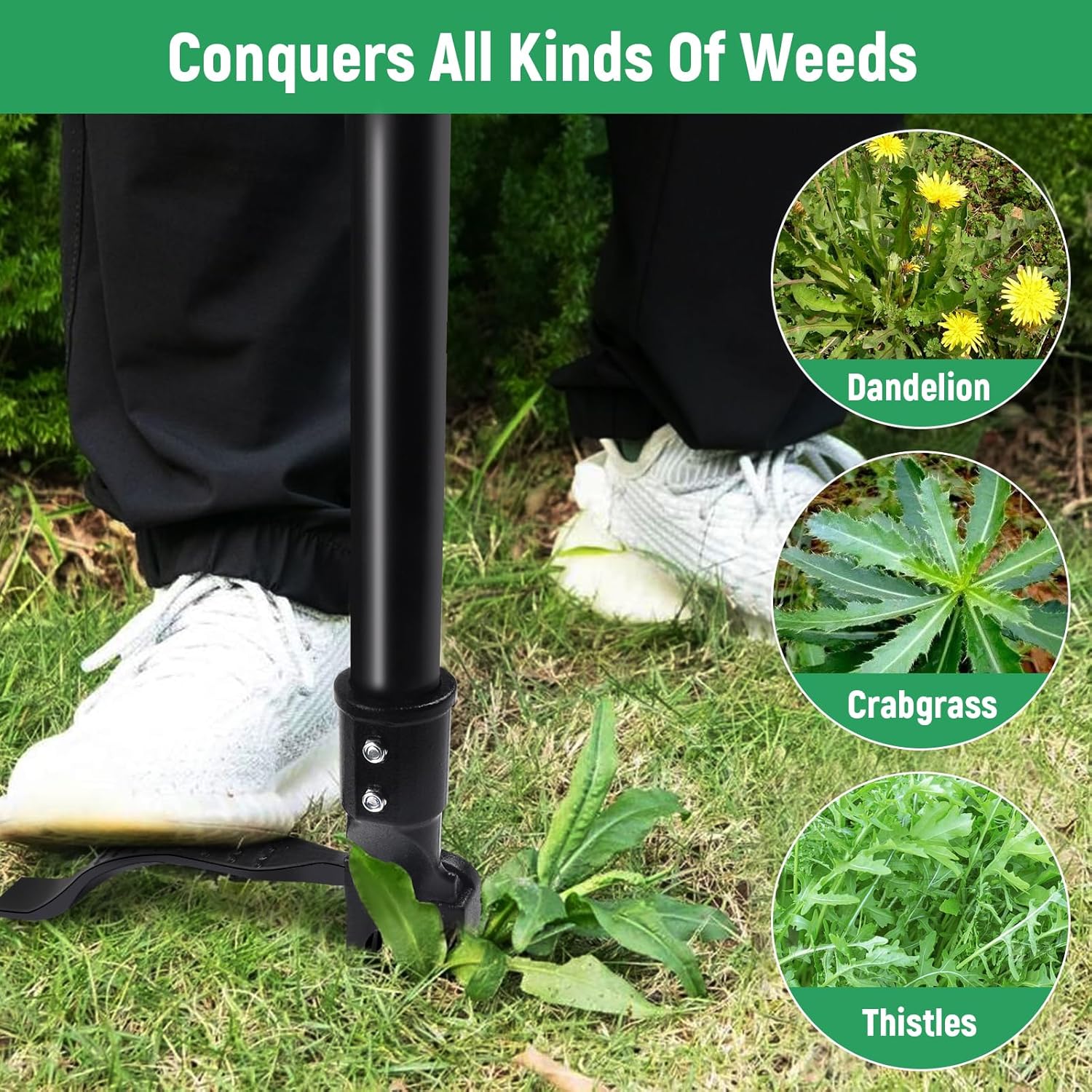 GOXAWEE Weed Puller Tool, 4-Claw Stand Up Weeder with Adjustable 46” Handle for Remove Weeds Without Bending, Pulling or Kneeling (45.5-INCH) image 7