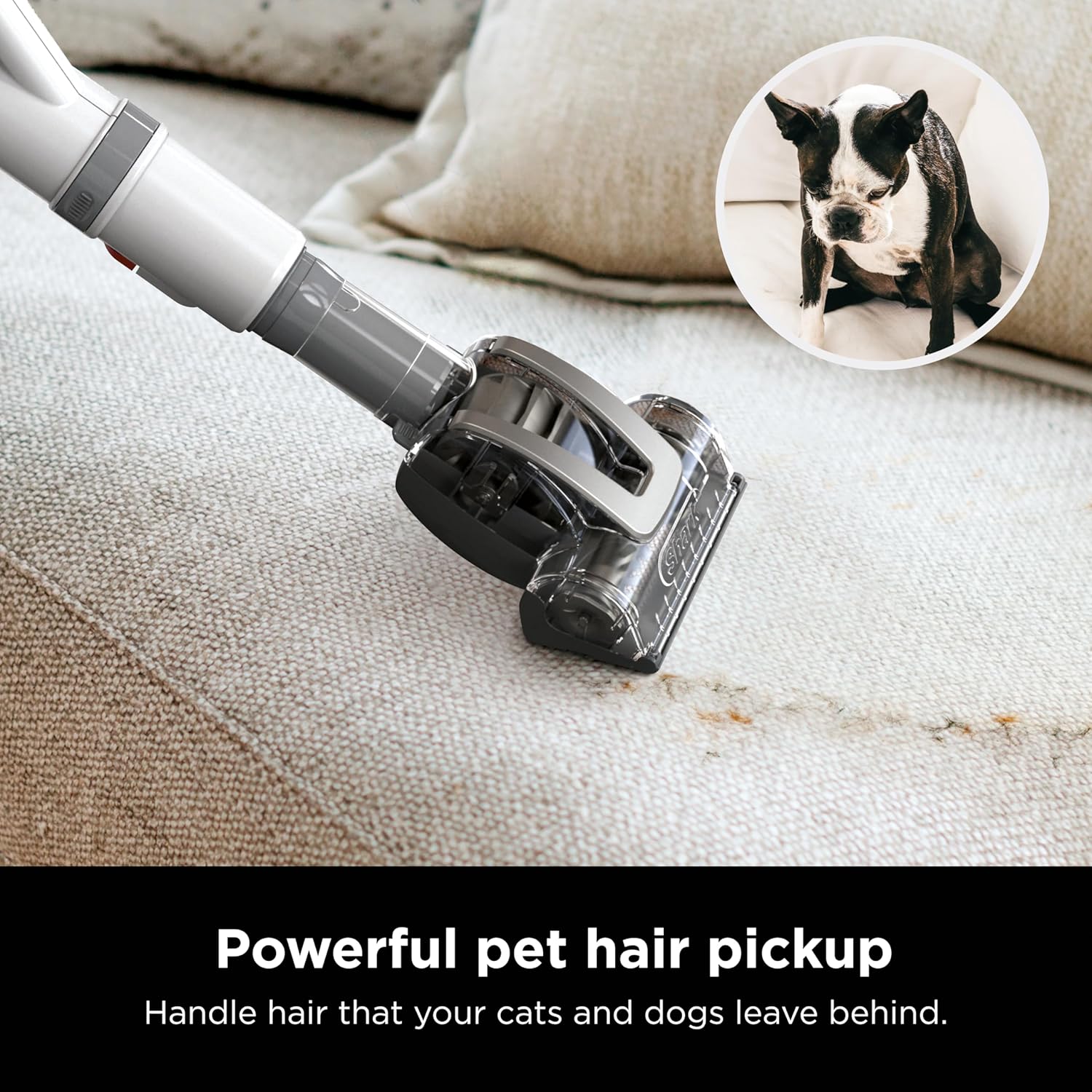 Shark | Upright Vacuum Cleaner | Navigator Lift-Away | Swivel Steering | HEPA Filter | Vacuum for Pet Hair | Crevice Tool & Dusting Brush Included | For Carpets & Hard Floors | White/Silver | NV356E image 6