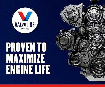 Valvoline Daily Protection Non-Detergent 30 Oil 1 QT, Case of 6 image 6