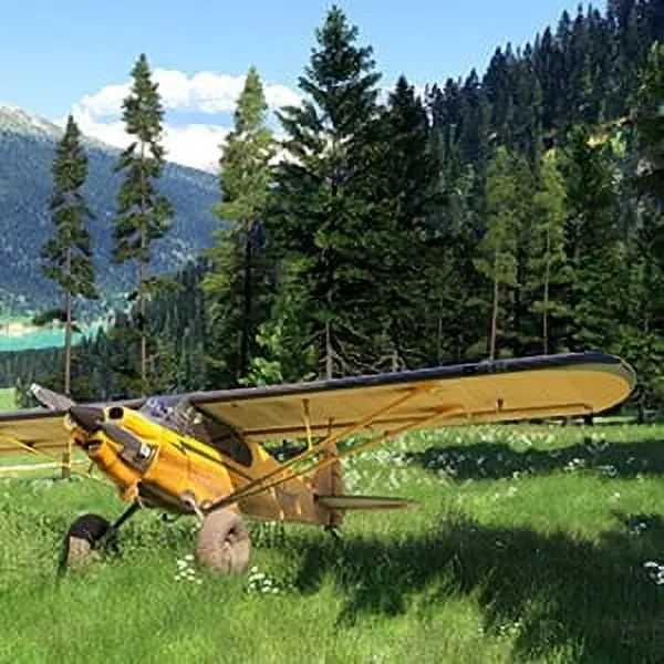 Microsoft Flight Simulator 2024 – Premium Deluxe SteelBook Edition – Xbox Series X|S and Windows Digital Code image 8
