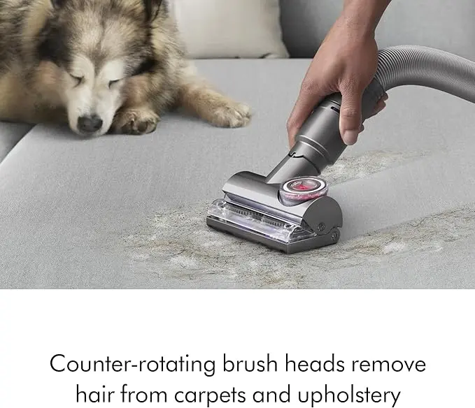 Dyson Ball Animal Total Clean Upright Vacuum, Iron/Blue image 5