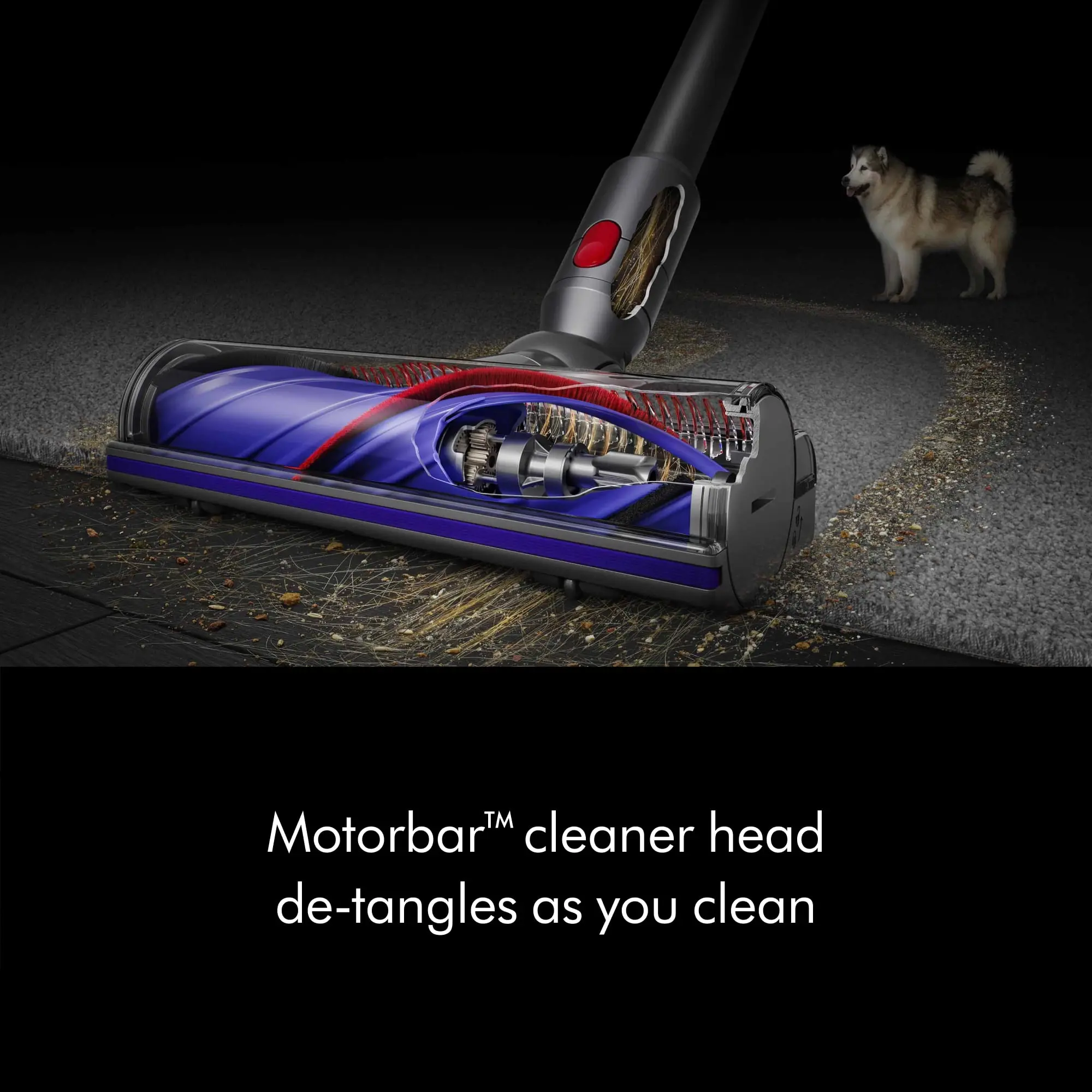 Dyson V11 Extra Cordless Vacuum Cleaner | Iron | image 3