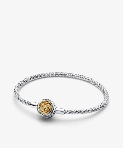 Game of Thrones Charm Bracelet Set image 3