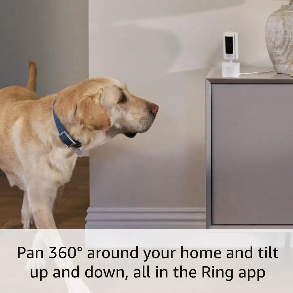 Ring Pan-Tilt Indoor Cam | See all around with 360° pan coverage, HD video, plus Two-Way Talk (2024 release) | White image 3