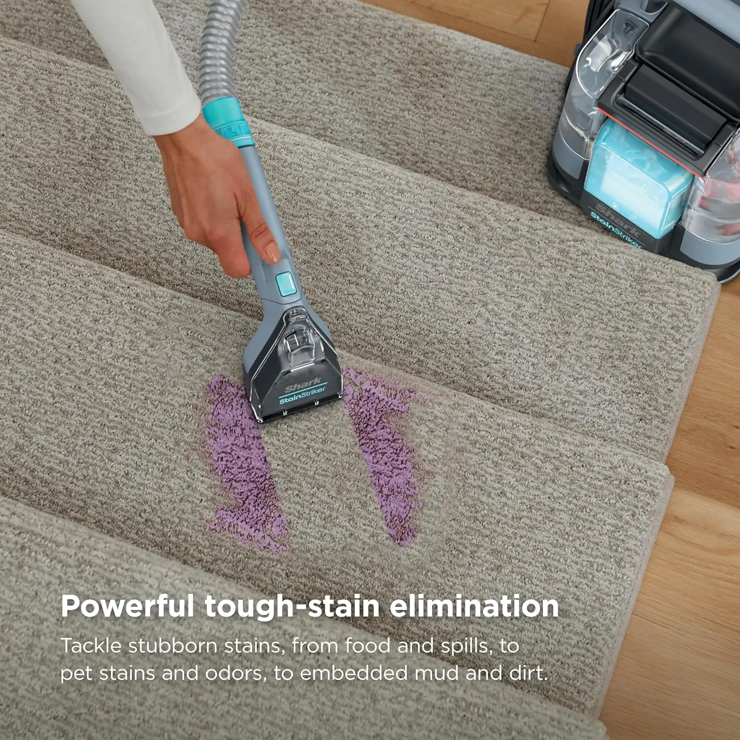 Shark StainStriker Portable Carpet Upholstery & Area Rug Cleaner, Bonus XL Tool & Full-Size Cleaning Solution, Stain & Odor Remover, Perfect for Car Interiors, 4 Cleaning Tools, Nordic Blue, PX202BRN image 2