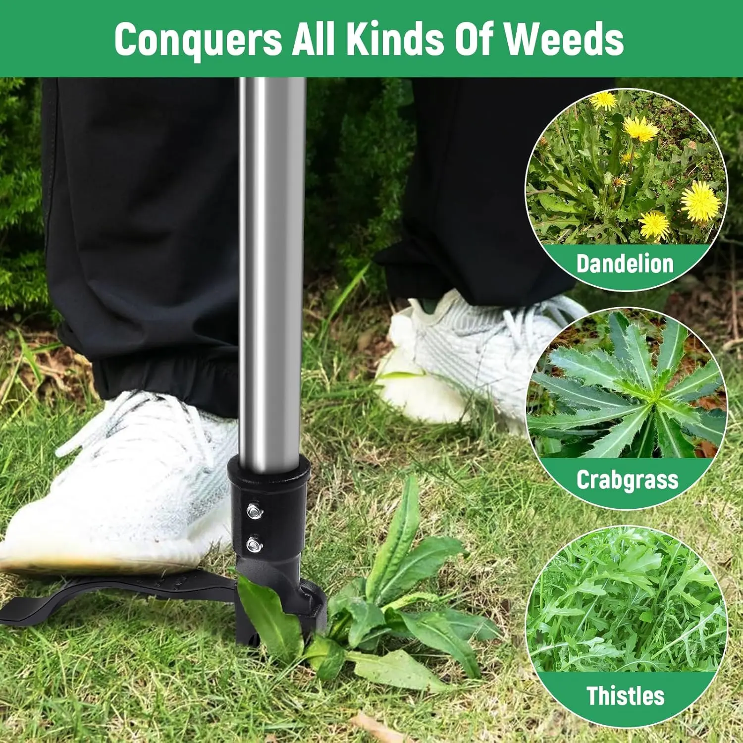 GOXAWEE Weed Puller Tool, 4-Claw Stand Up Weeder with Adjustable 46” Handle for Remove Weeds Without Bending, Pulling or Kneeling image 7