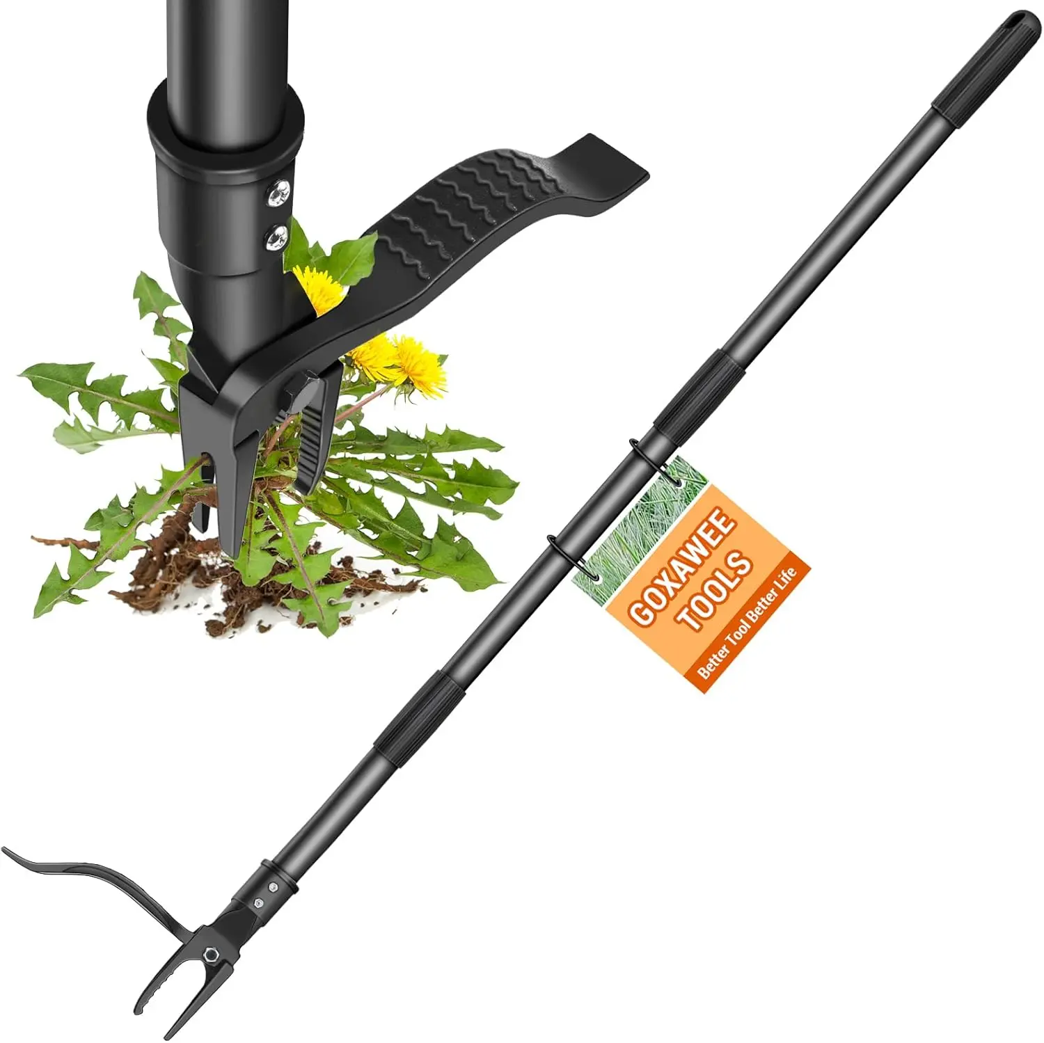 GOXAWEE Weed Puller Tool, 4-Claw Stand Up Weeder with Adjustable 46” Handle for Remove Weeds Without Bending, Pulling or Kneeling (45.5-INCH) image 1