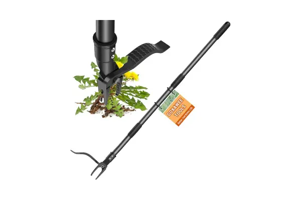 GOXAWEE Weed Puller Tool, 4-Claw Stand Up Weeder with Adjustable 46” Handle for Remove Weeds Without Bending, Pulling or Kneeling (45.5-INCH) image