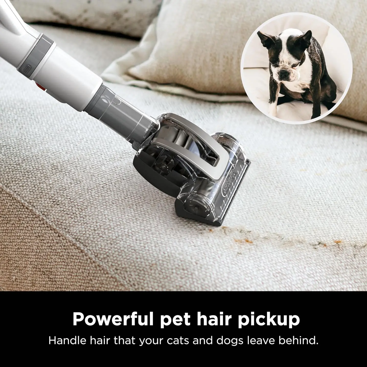 Shark | Upright Vacuum Cleaner | Navigator Lift-Away | Swivel Steering | HEPA Filter | Vacuum for Pet Hair | Crevice Tool & Dusting Brush Included | For Carpets & Hard Floors | White/Silver | NV356E image 6