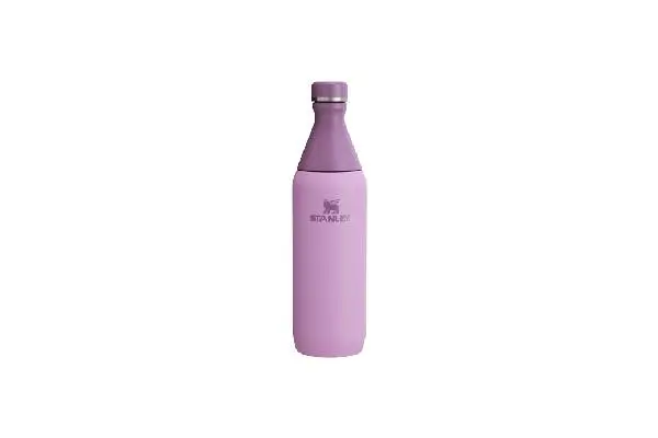 Stanley All Day Slim Bottle 20 oz | Twist On Lid with Leakproof Seal | Slim Design for Travel & Gym | Insulated Stainless Steel | BPA-Free | Lilac image