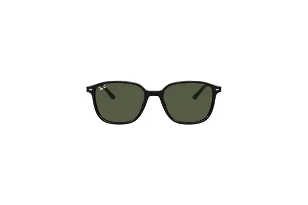 Ray-Ban RB2193 Leonard Square Sunglasses image