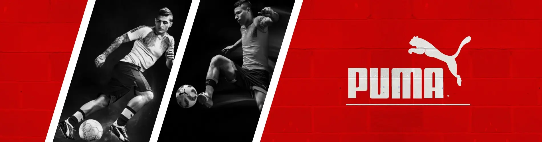 Puma Banner