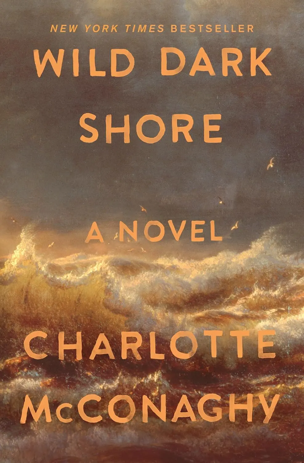 Wild Dark Shore: A Novel image 1